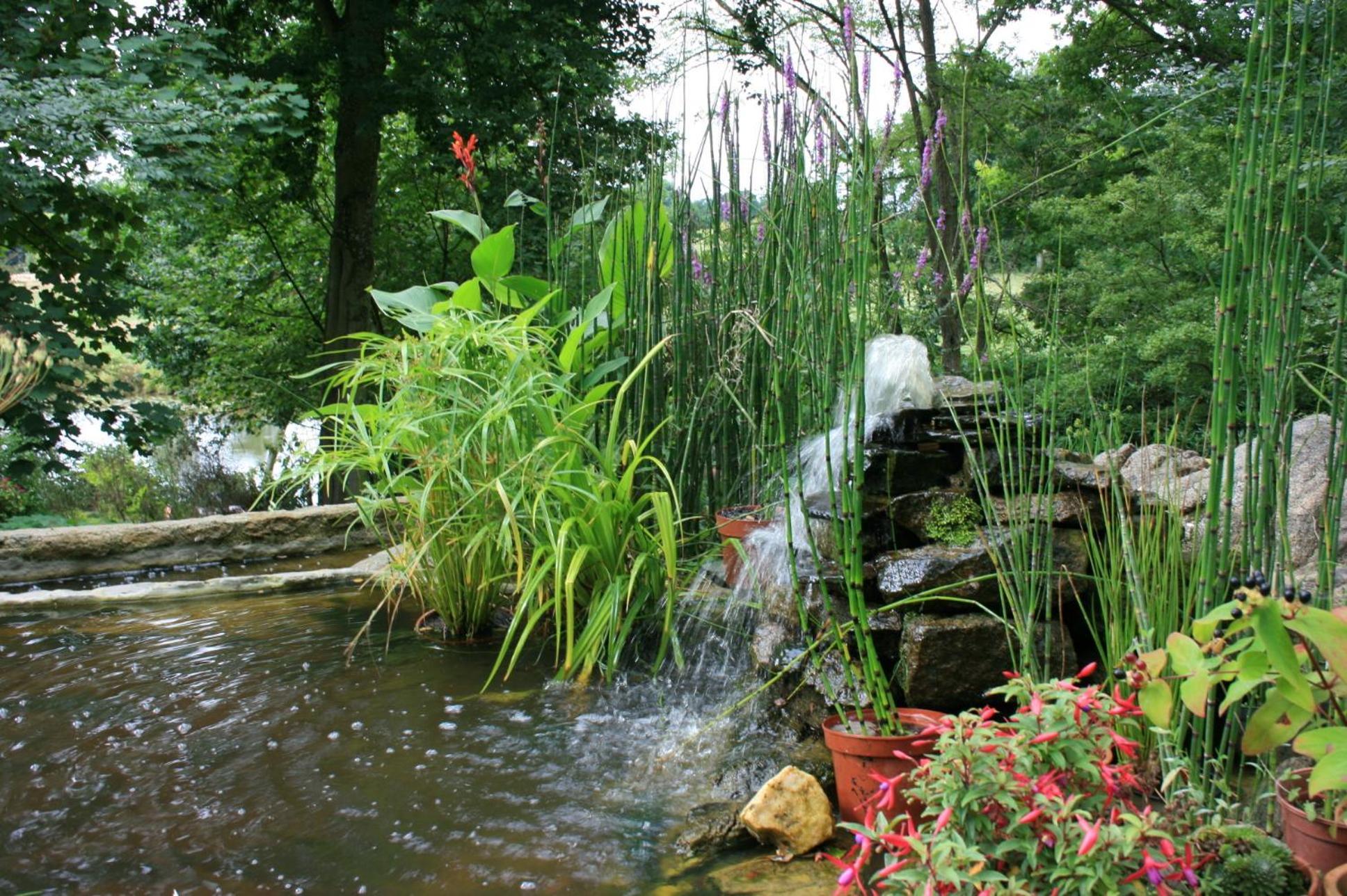 Au Pont Ricoul Bed & Breakfast Saint-Pierre-de-Plesguen Luaran gambar
