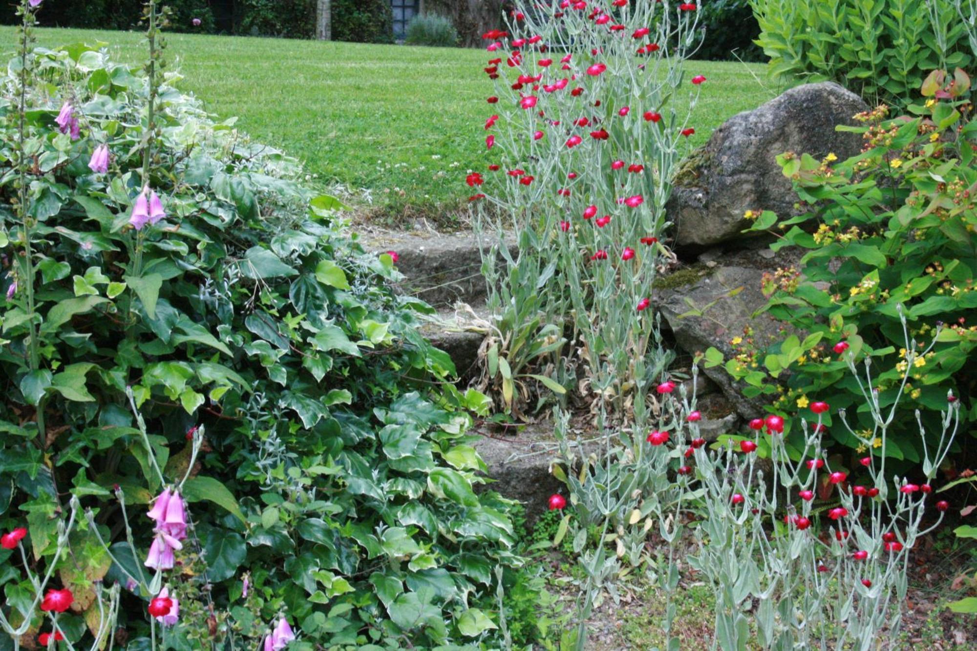 Au Pont Ricoul Bed & Breakfast Saint-Pierre-de-Plesguen Luaran gambar
